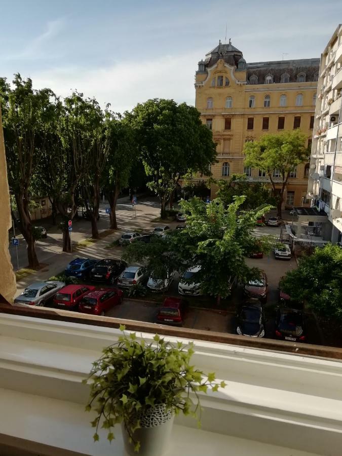 Arena Festival Apartman Póla Kültér fotó